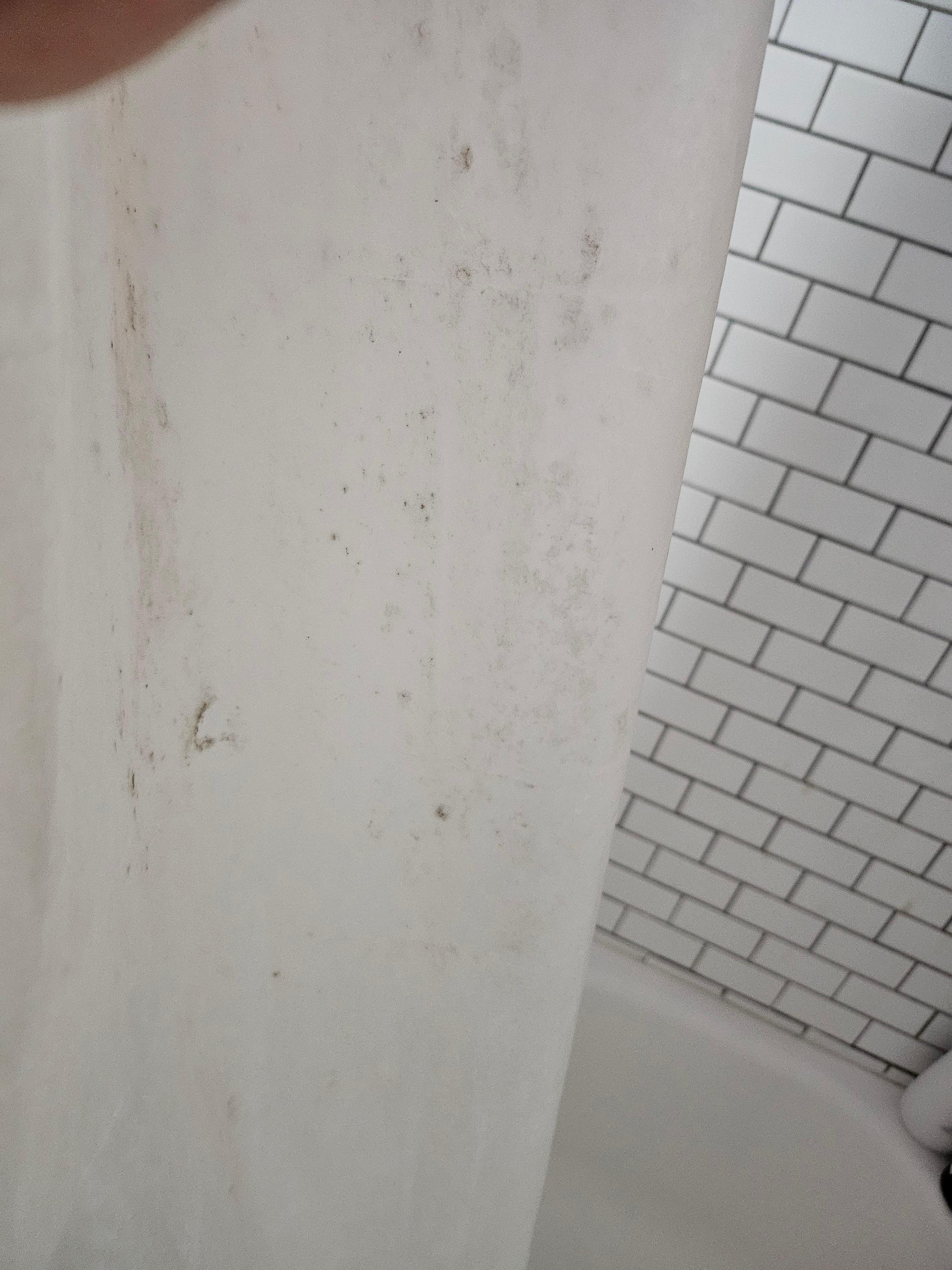 shower curtain