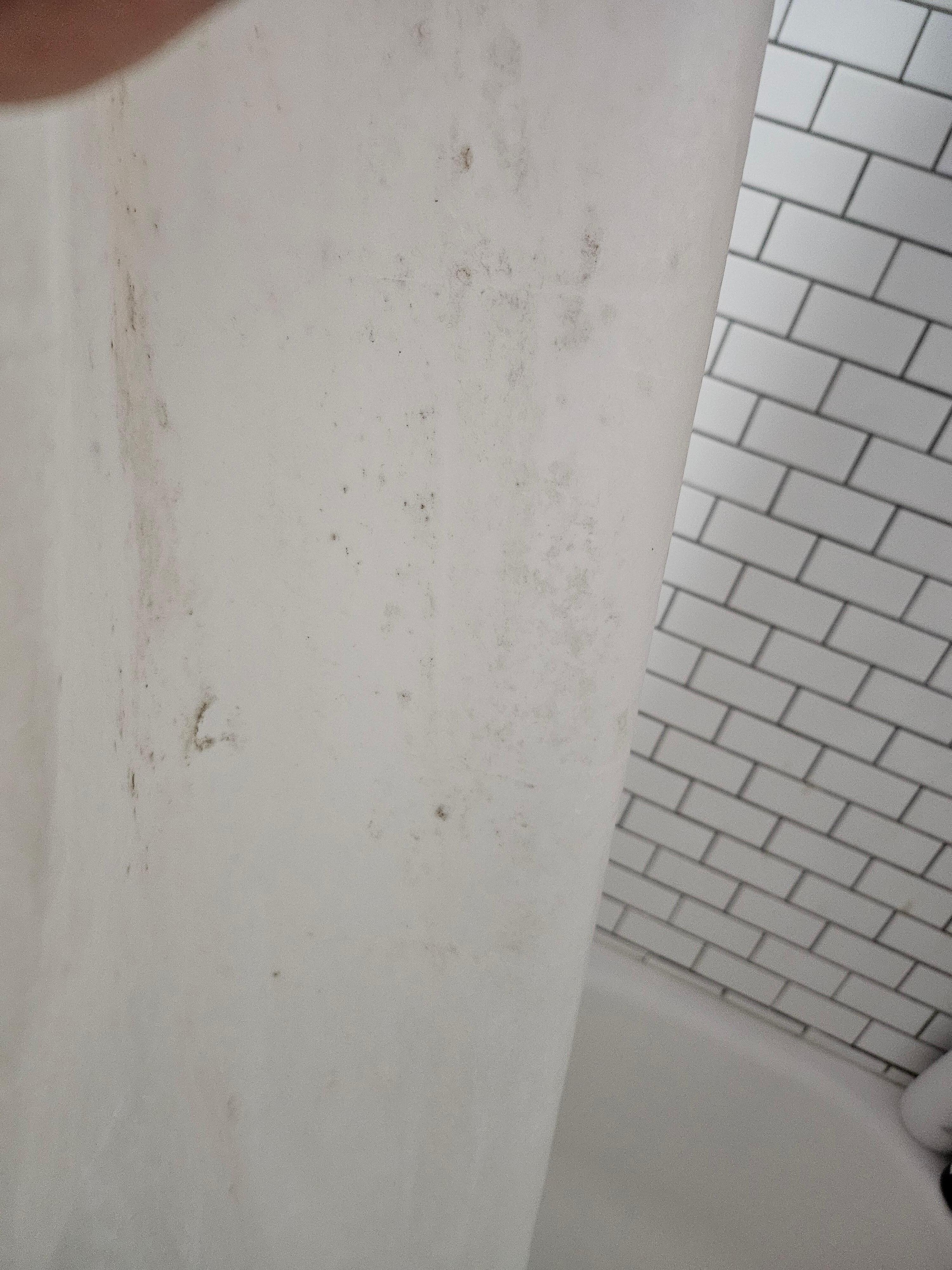 shower curtain
