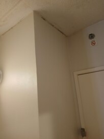 Mold in room