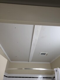 Bathroom ceiling