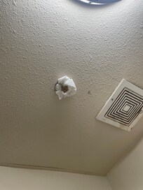 This was toilet paper around the sprinkler in the bathroom.