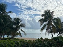 Everyday from the balcony