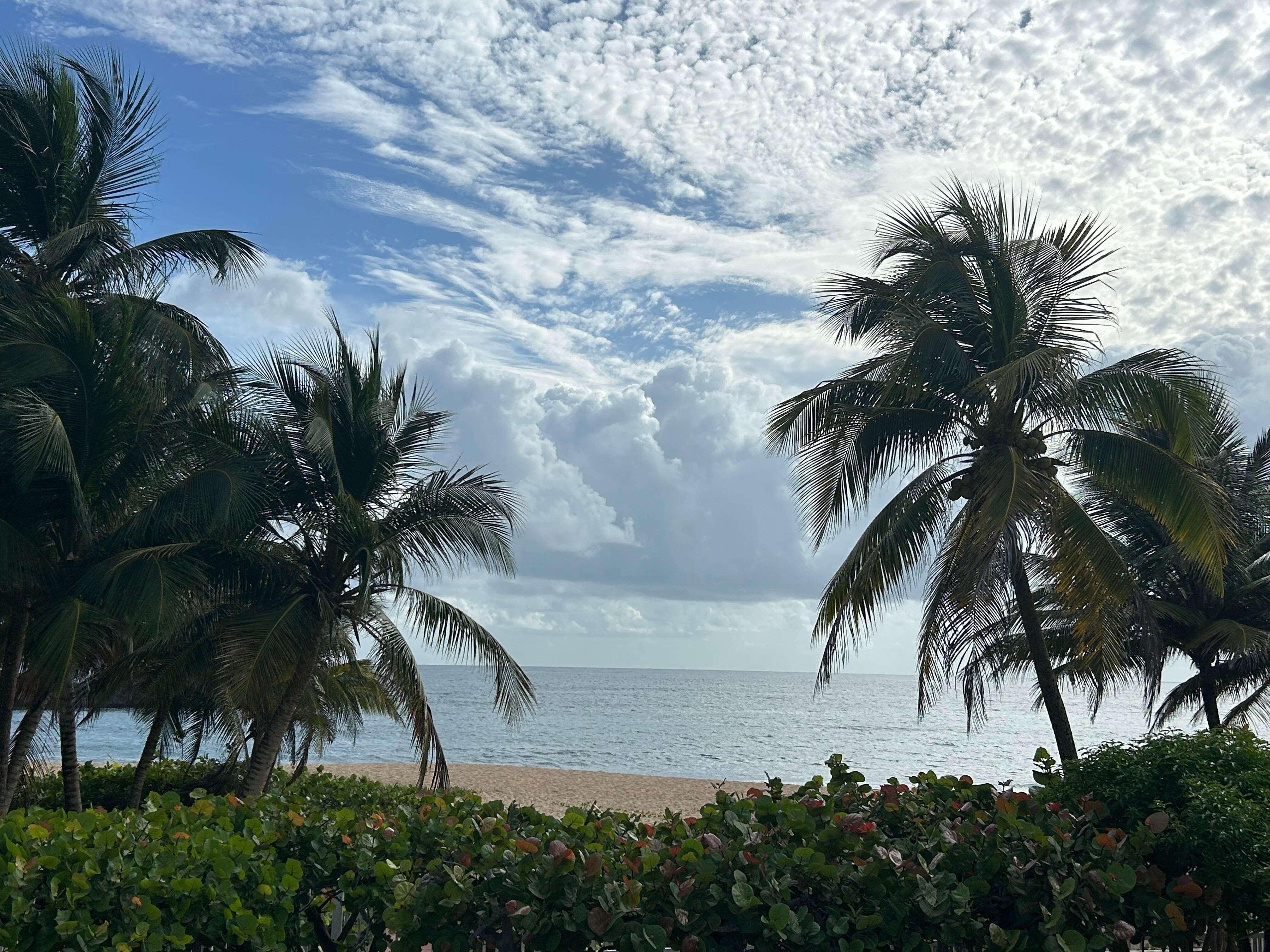 Everyday from the balcony 