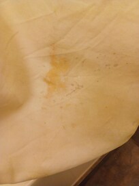 Shower curtain