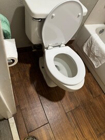 The toilet seat didn’t fit the toilet?? And was gross.