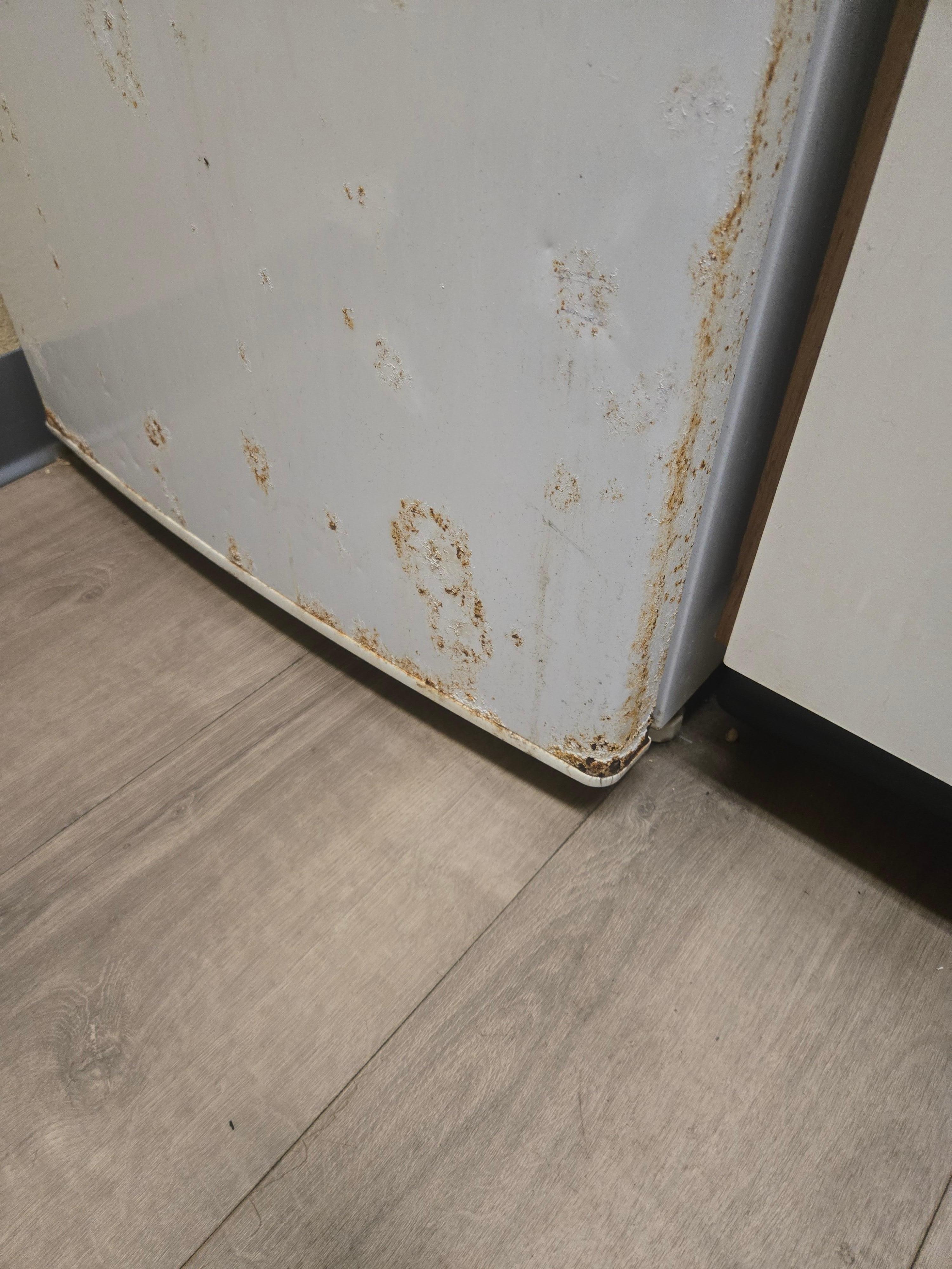  the refrigerator is heavily rusted,