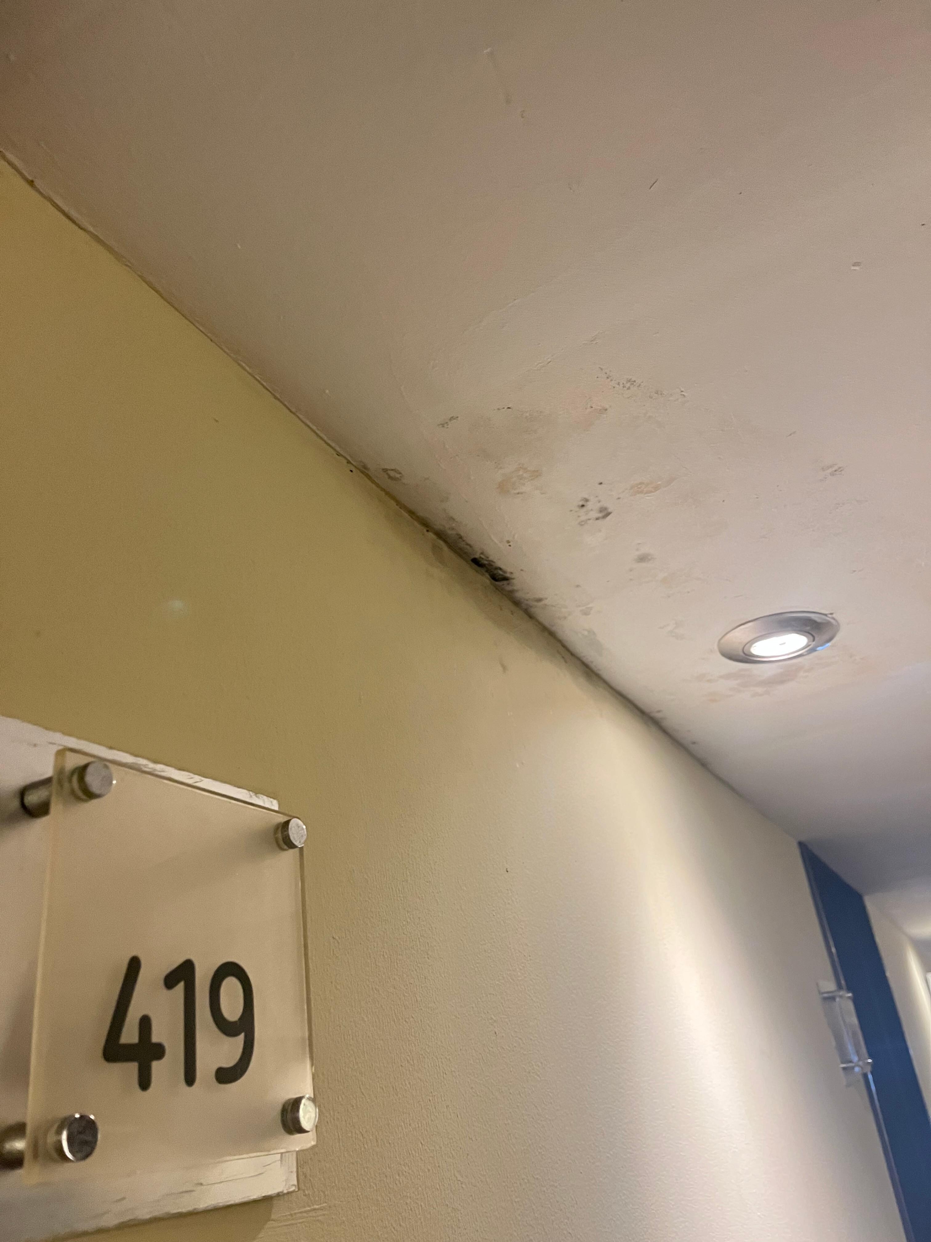 Mold at the room entrance 