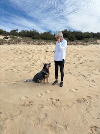 Dogs love the beach.