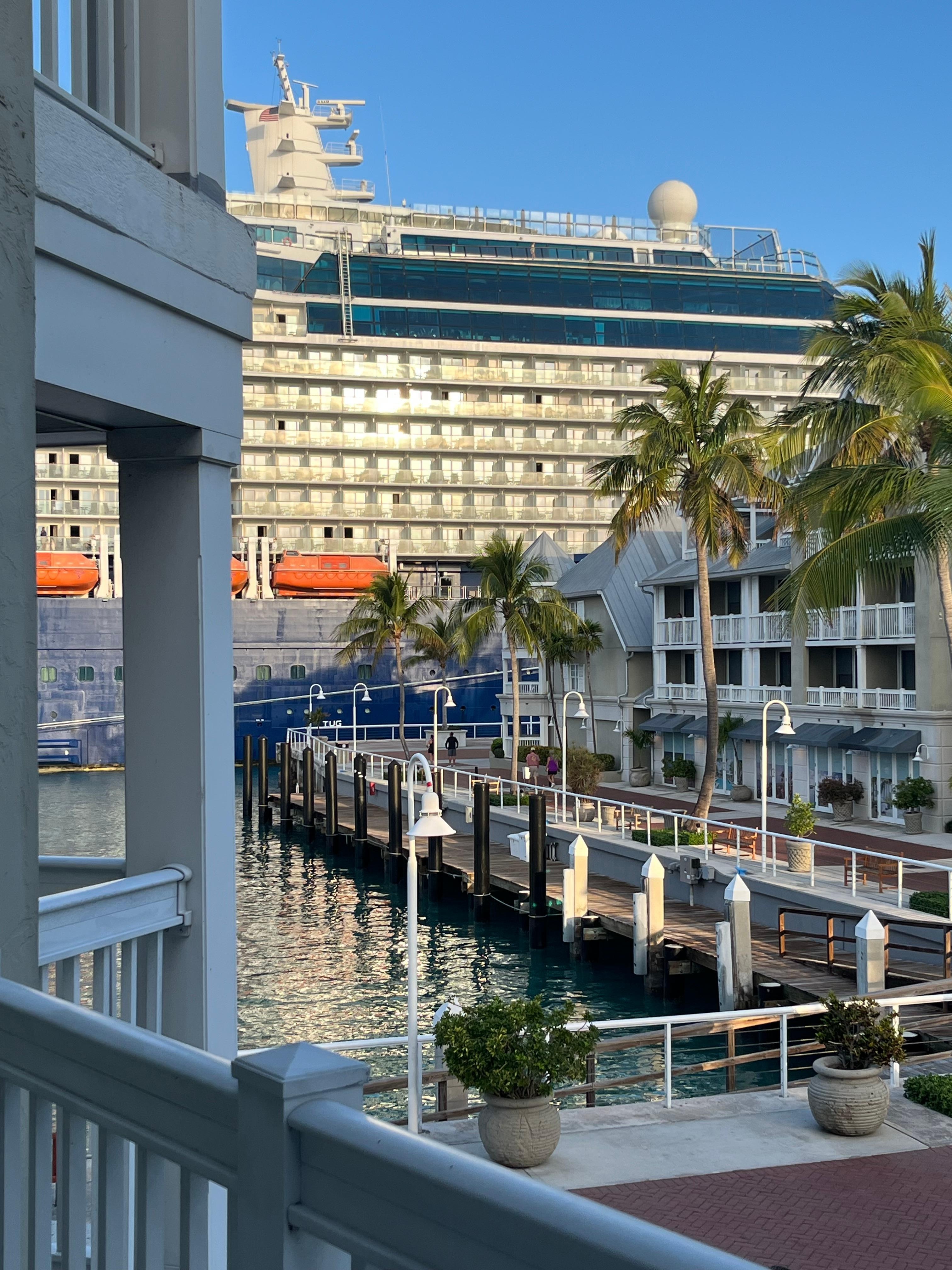 Massive cruise ship to look at all day instead of water