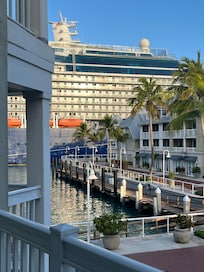 Massive cruise ship to look at all day instead of water