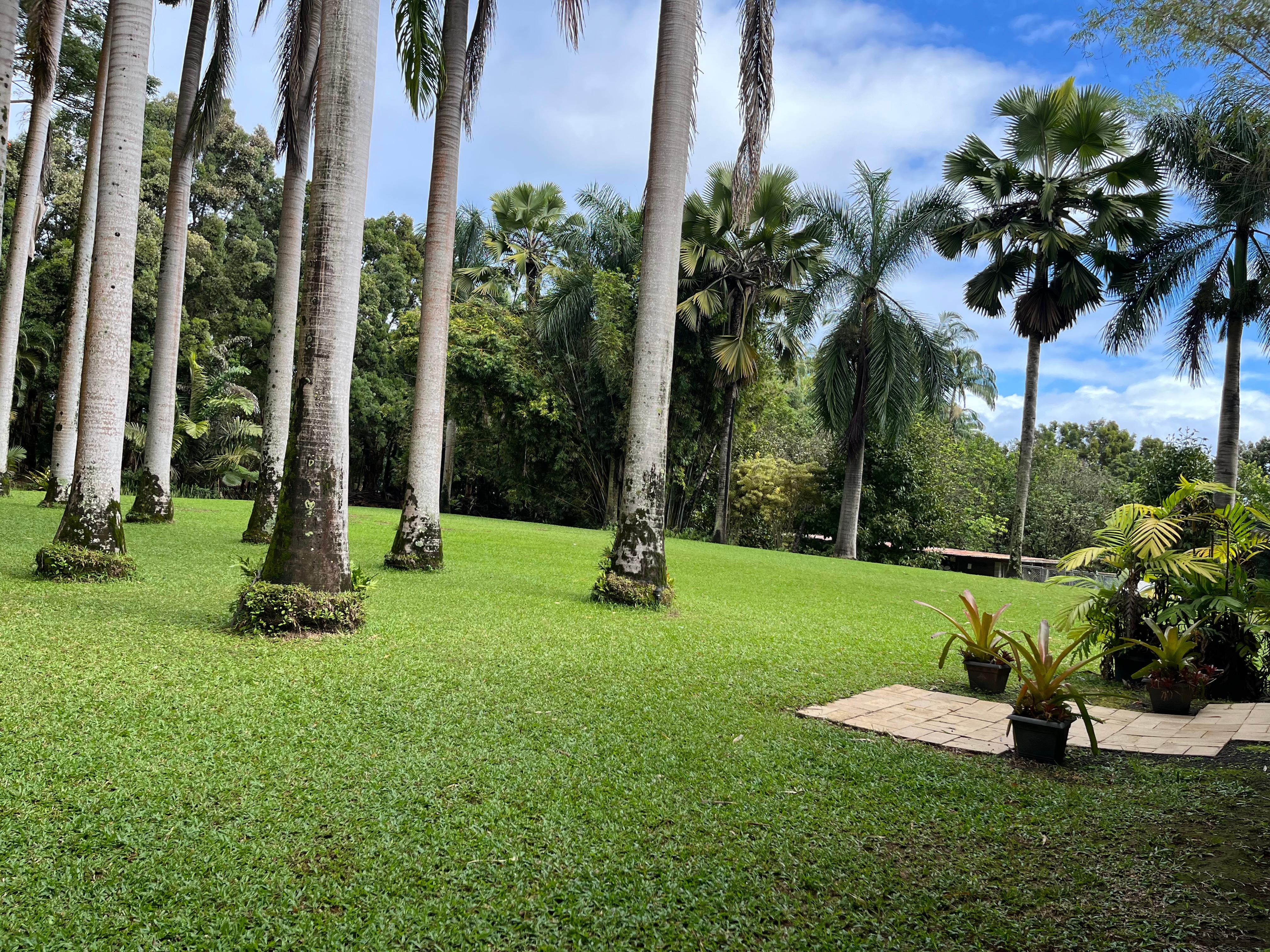 View as you walk towards the cottage.