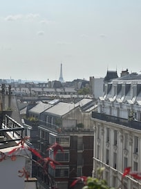 Eiffel Tower (terrace view)