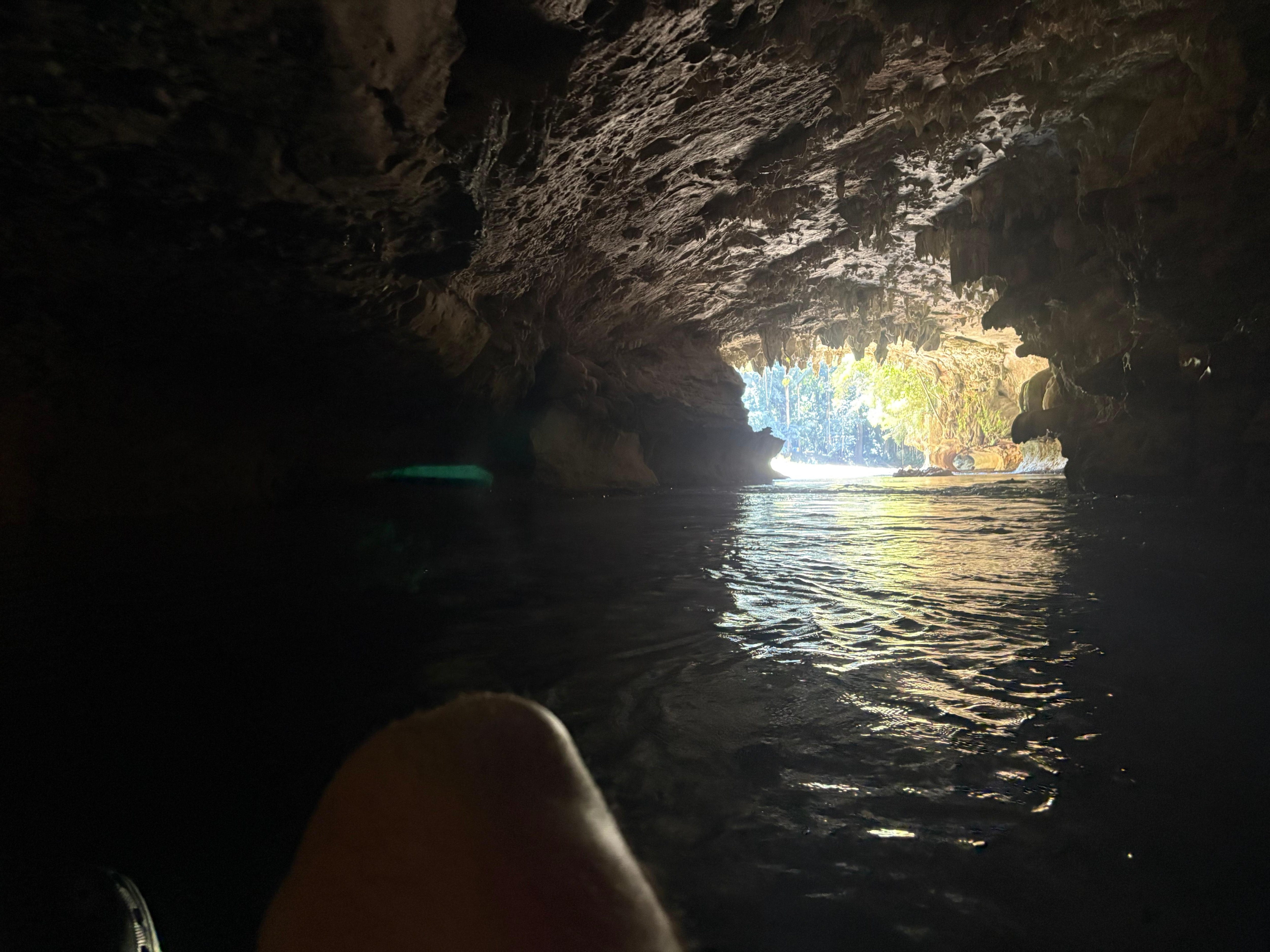 Cave tubing with Nelson; booked through Viator. Great experience. Paired it with the Maya ruins at Altun Ha. 