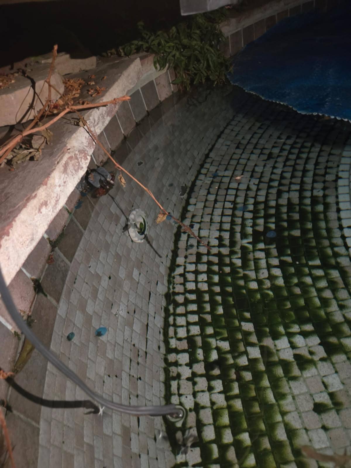 Wires in algae filled  pool
