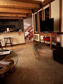 View of kitchen from living room.