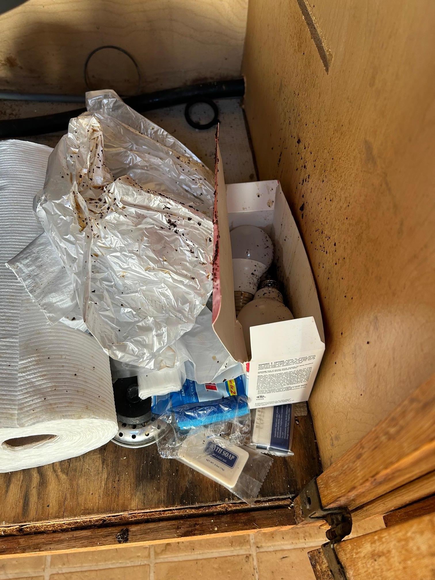 Under kitchen sink