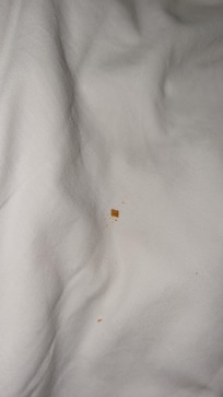 Dirty sheets