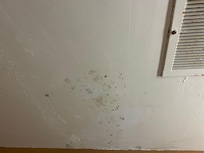 Mildew on bathroom ceiling