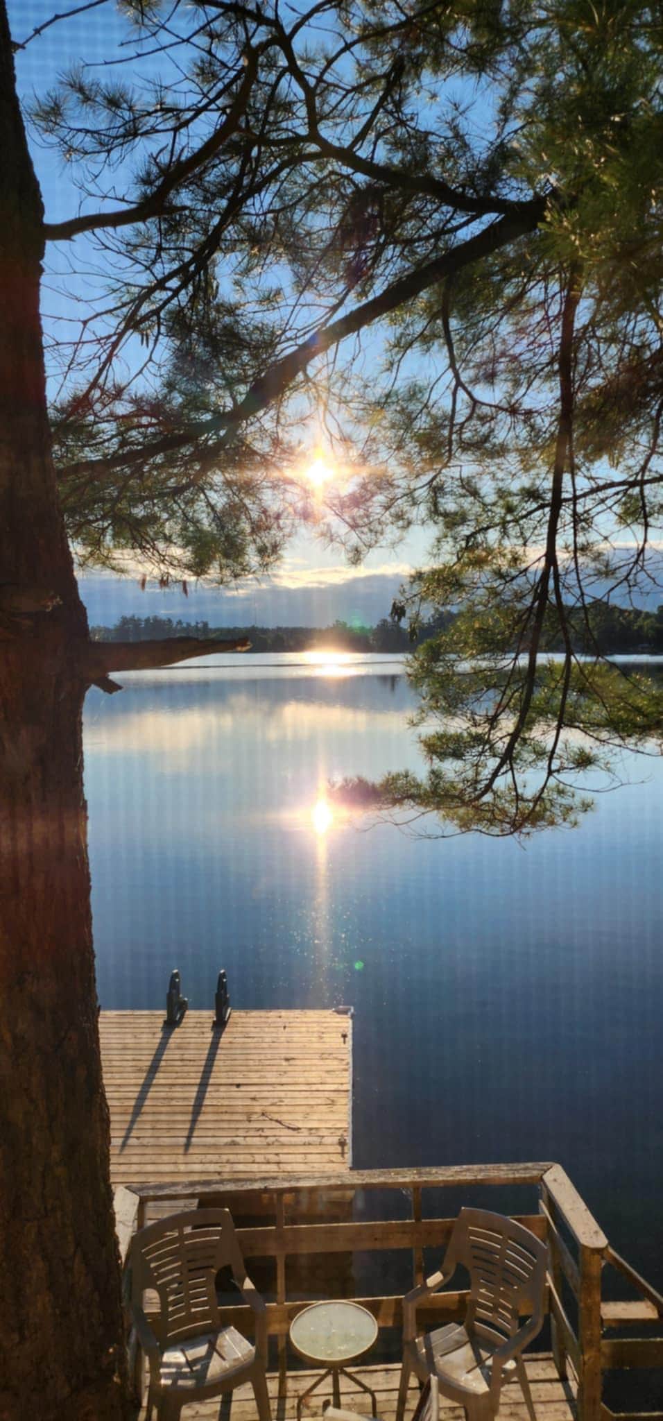 Gorgeous view from dining room window