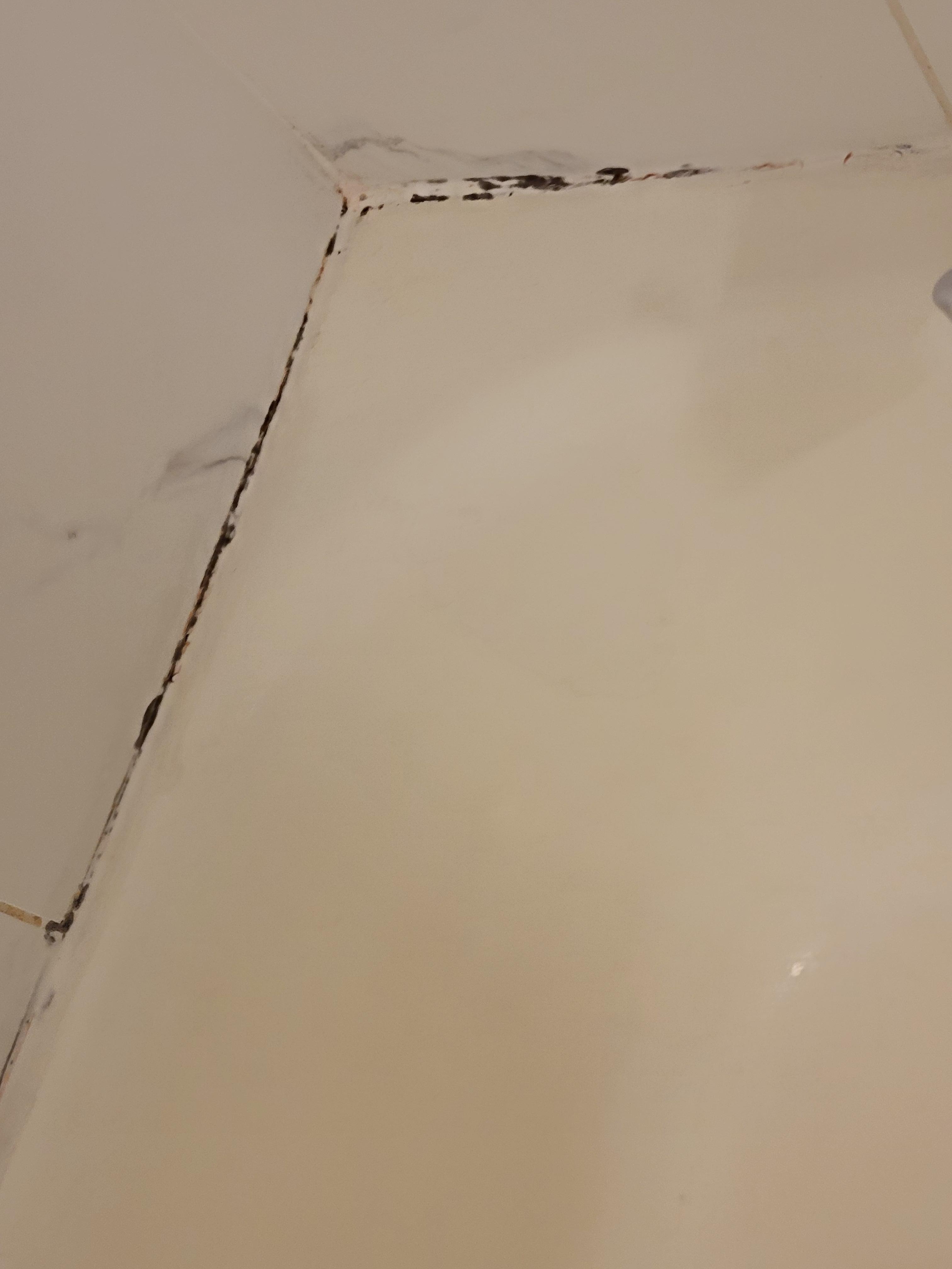 This is the bathroom condition 