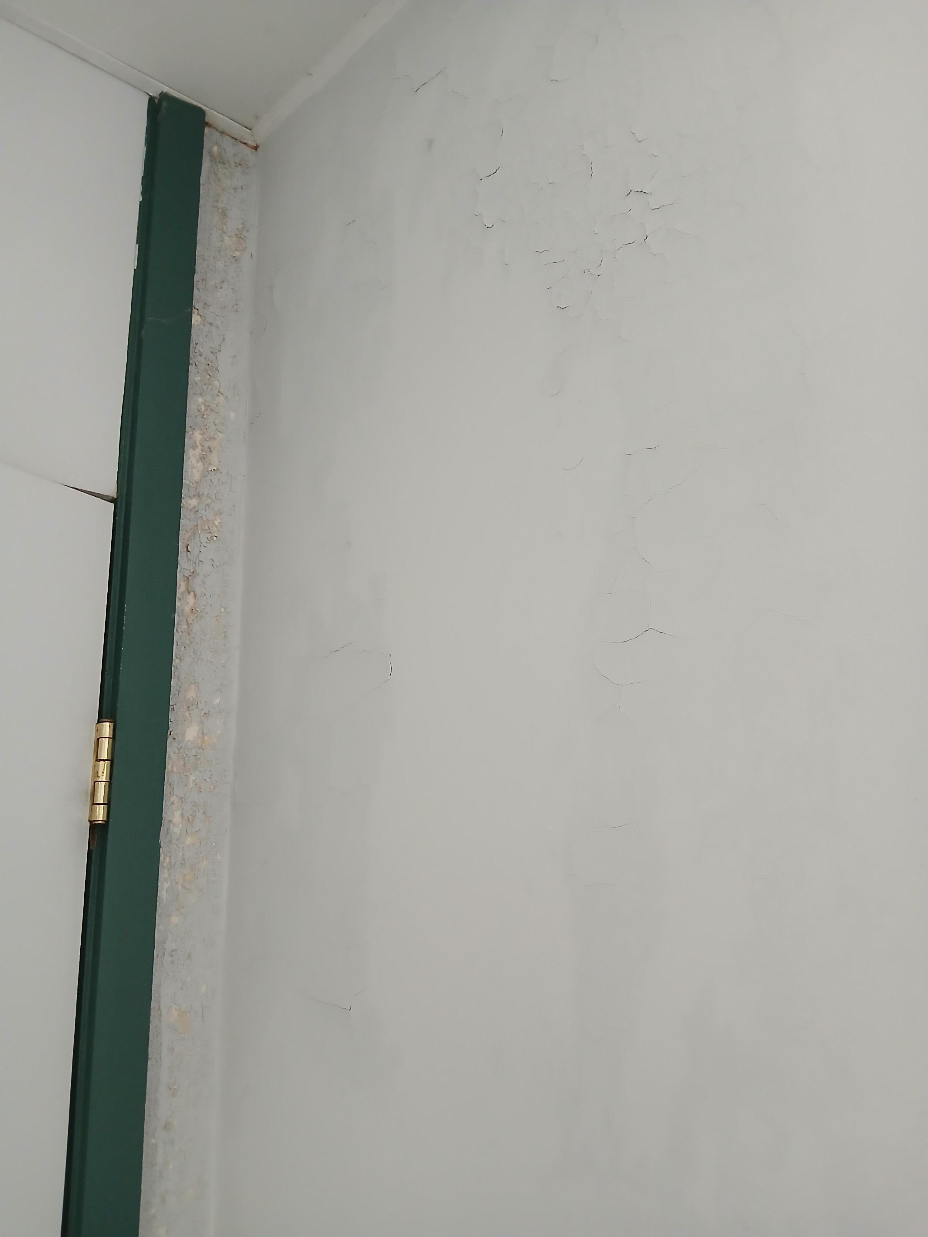 Bathroom paint peeling and looks dity/moldy.