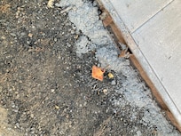 The driveway should be have been roped off. Our car was damaged diving in