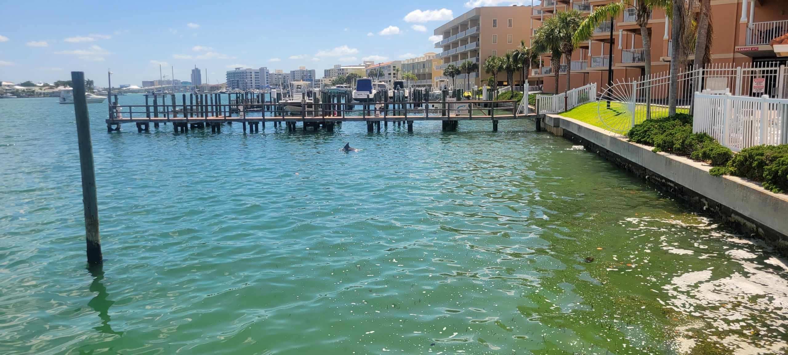 Close to the shared pool