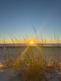 Perfect sunset from the back yard!