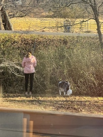 Fishing with the supplied rods and supplies. Very nice touch