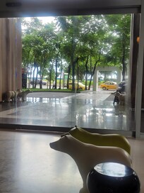 Lobby area!