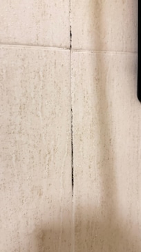 Mold