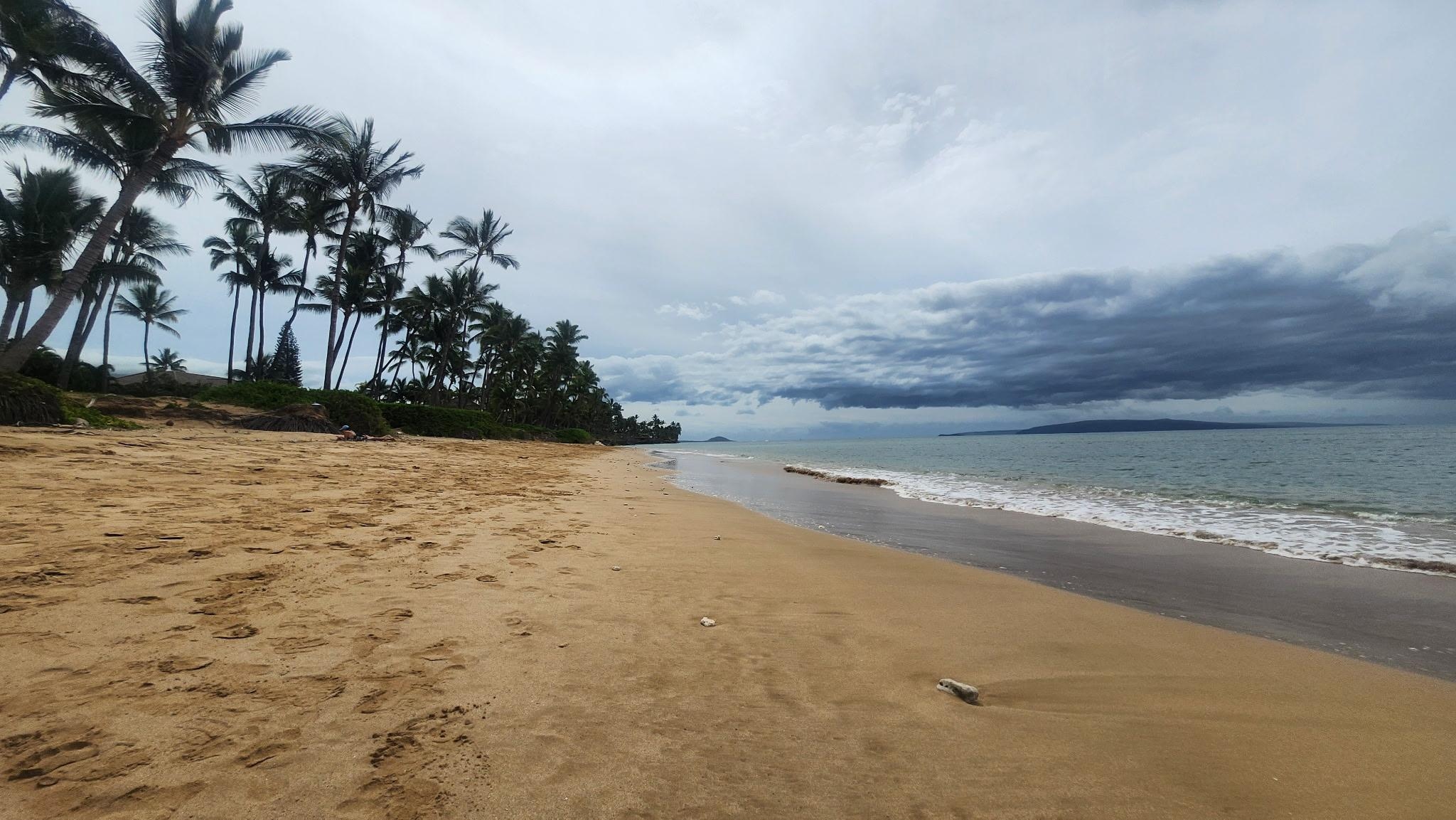 Beautiful beach steps from the house. 