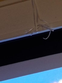 This was on top of the projector in the pool room. We mainly used the pool room for the projector, because we could NOT swim in the freezing pool and we could NOT go in the hot tub because it was broken. So we paid to use a projector for the weekend.