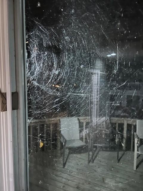 Sample of the cob webs all over the house