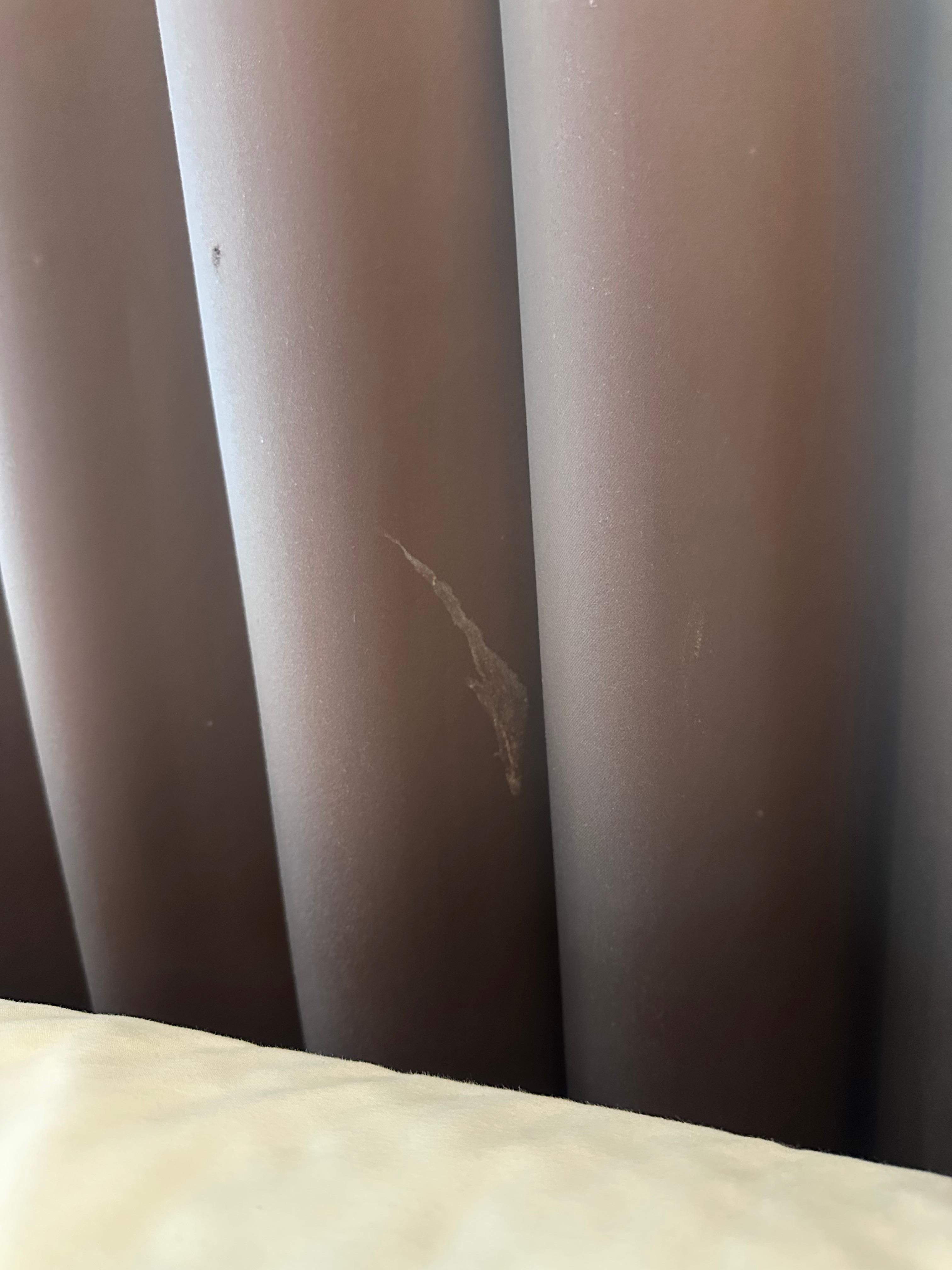 Human Semen on curtain 