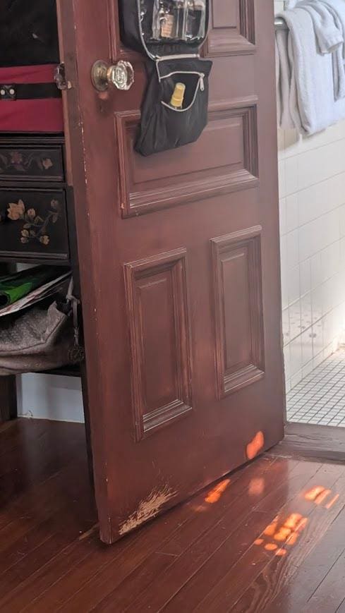 Bathroom door