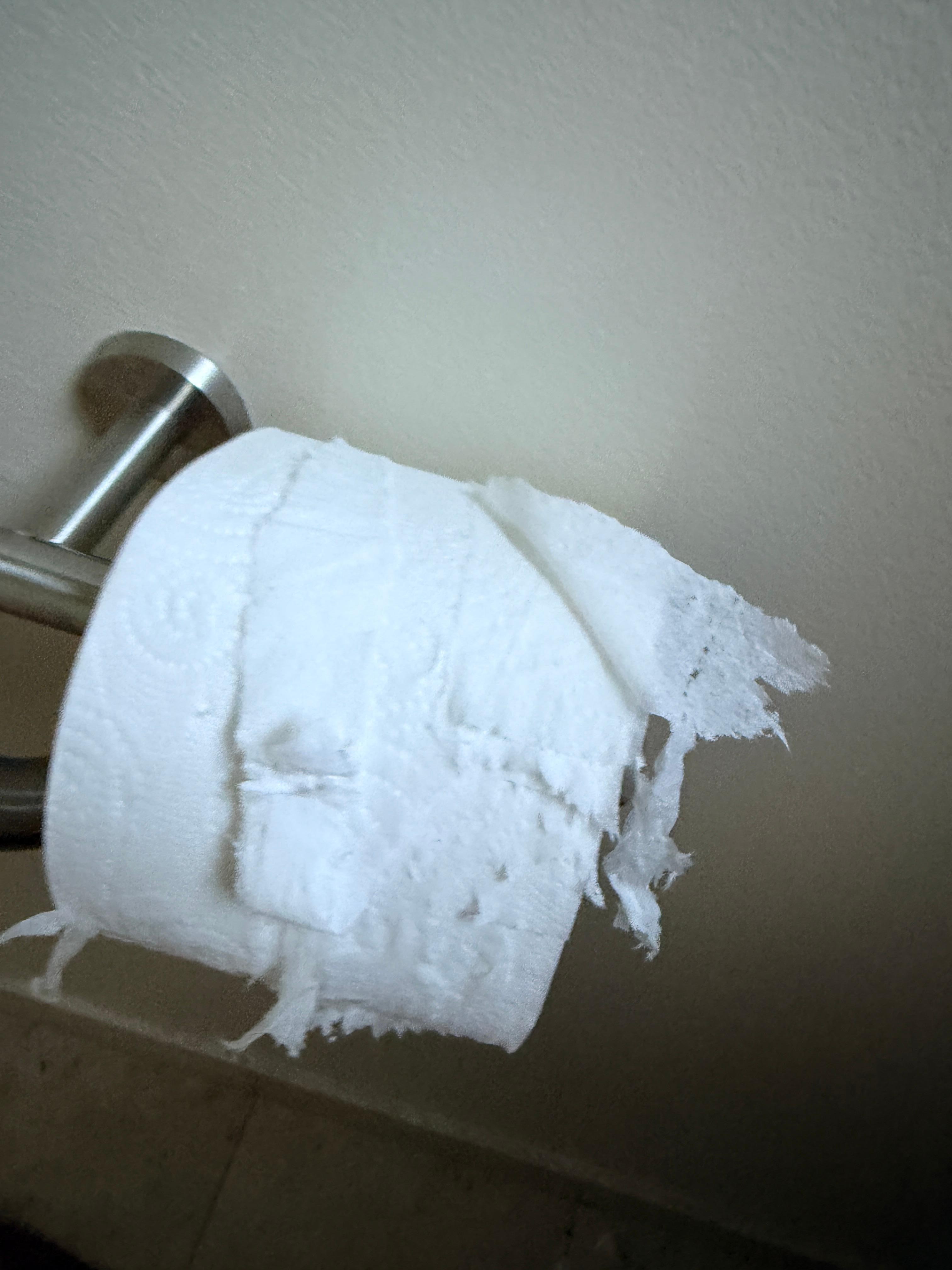 Toilet paper upon arrival 