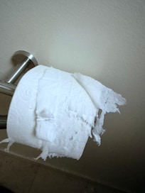 Toilet paper upon arrival
