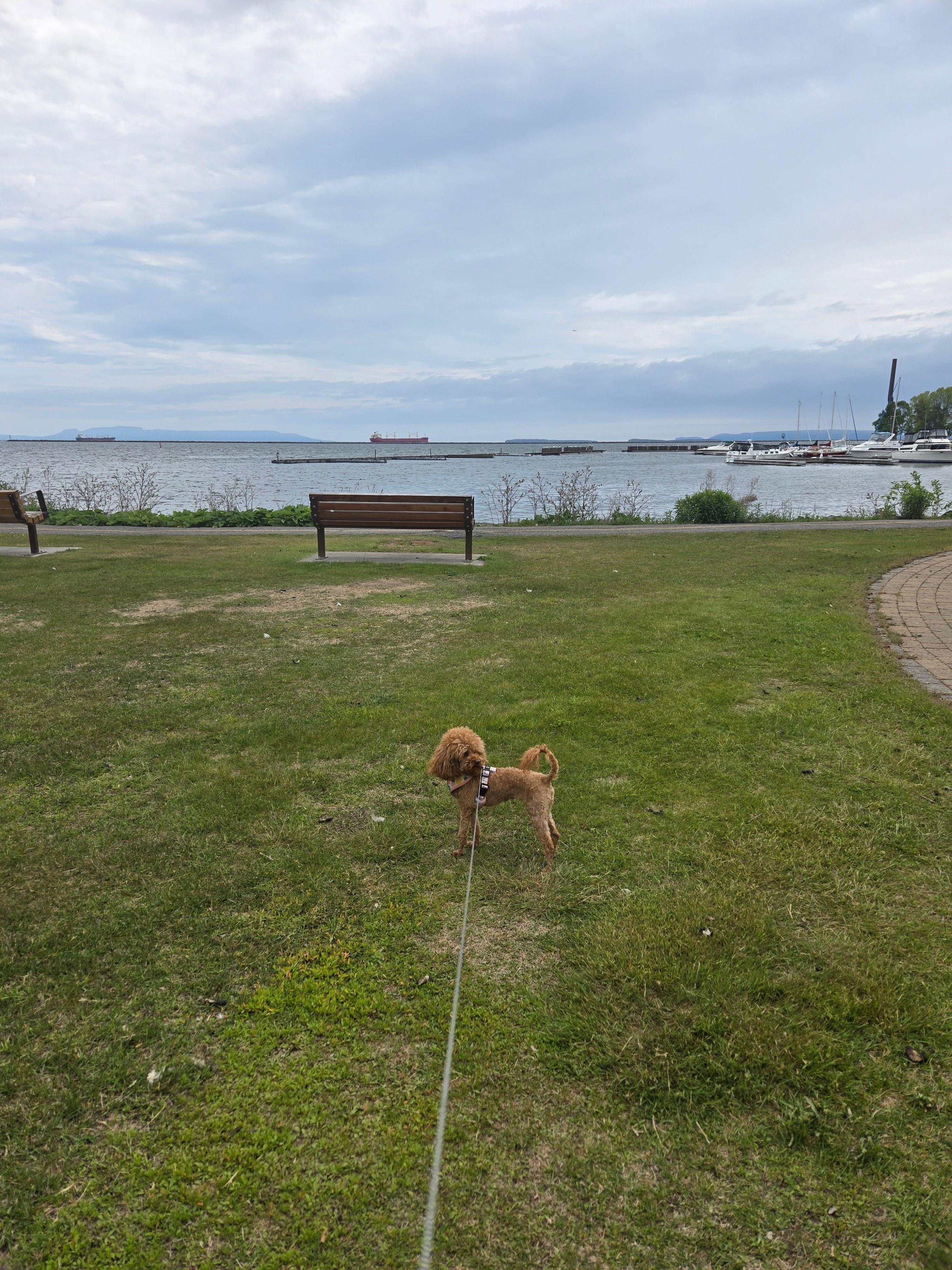 Marina Park
