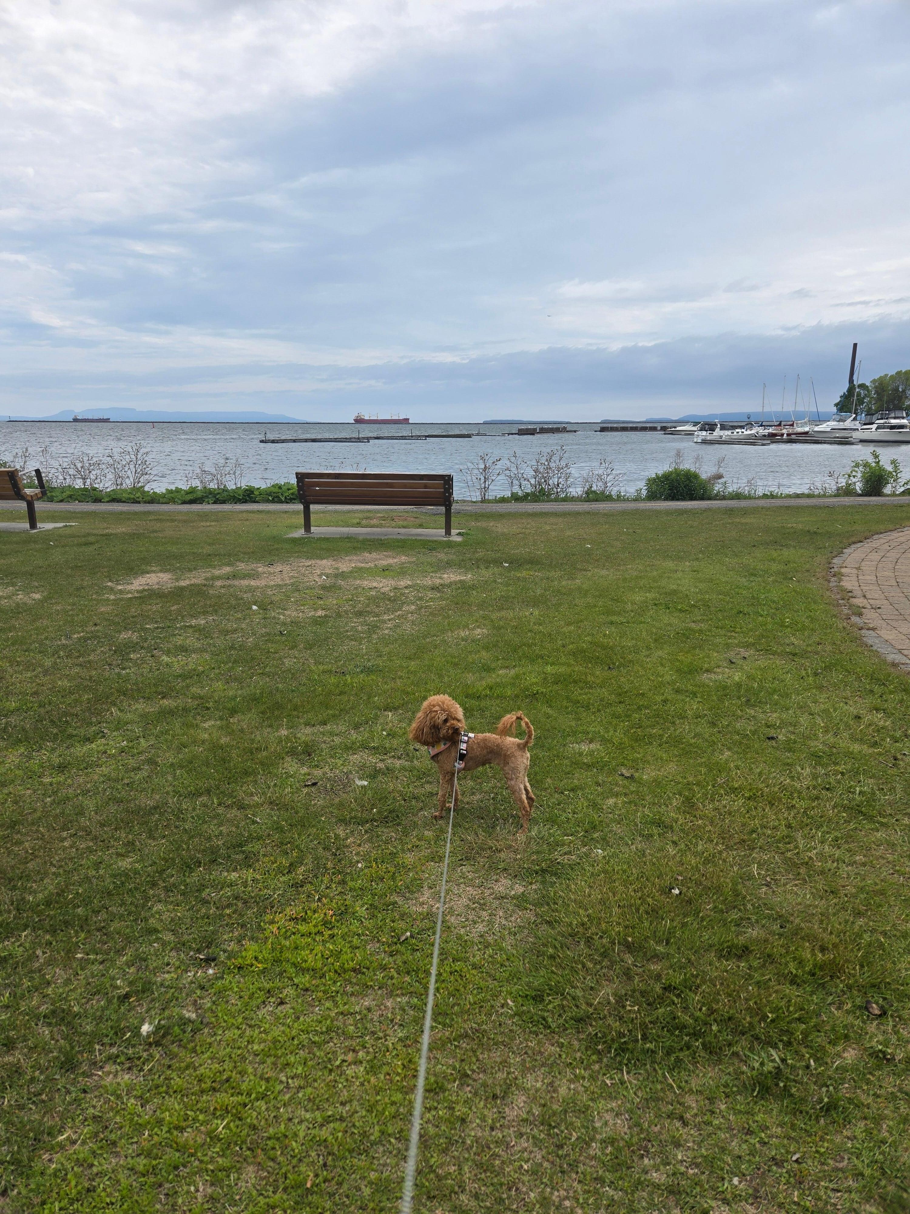 Marina Park