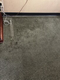Carpet stains midroom
