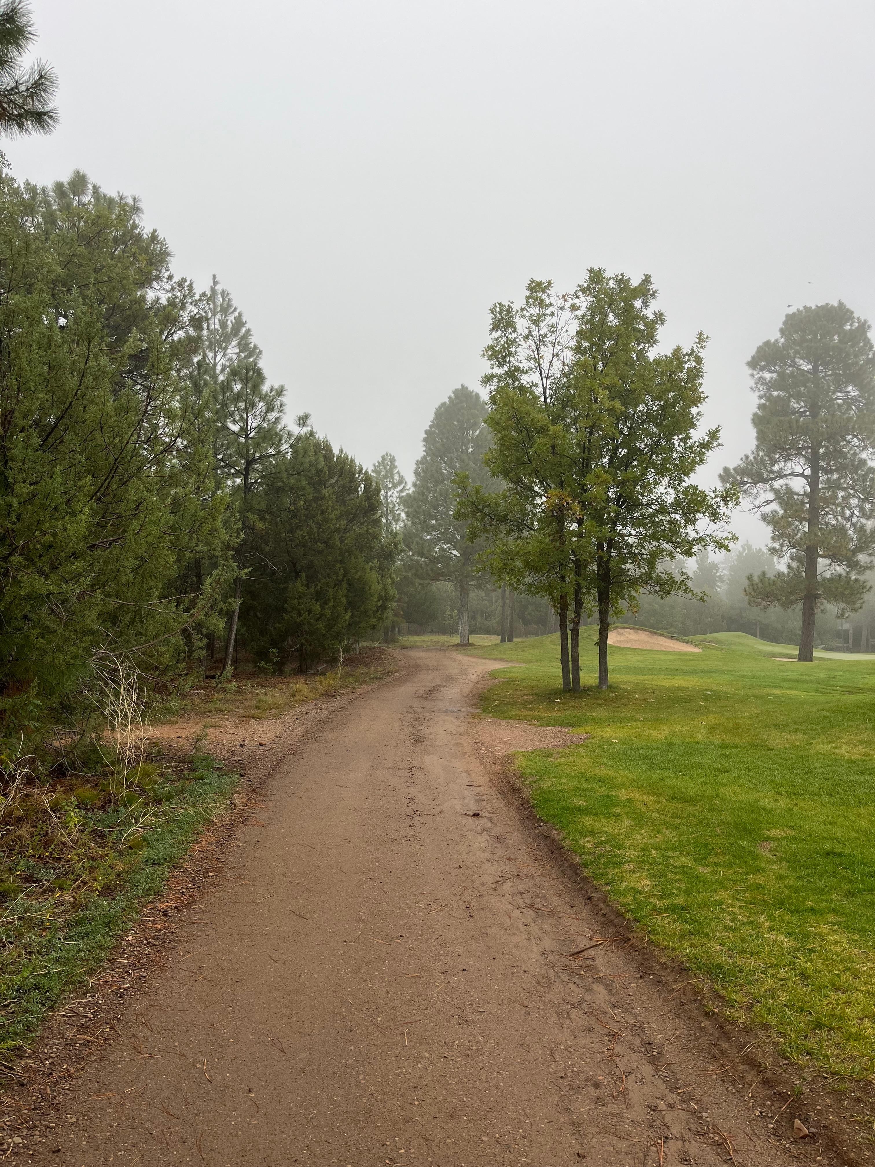 The cart path just steps away from the cabin