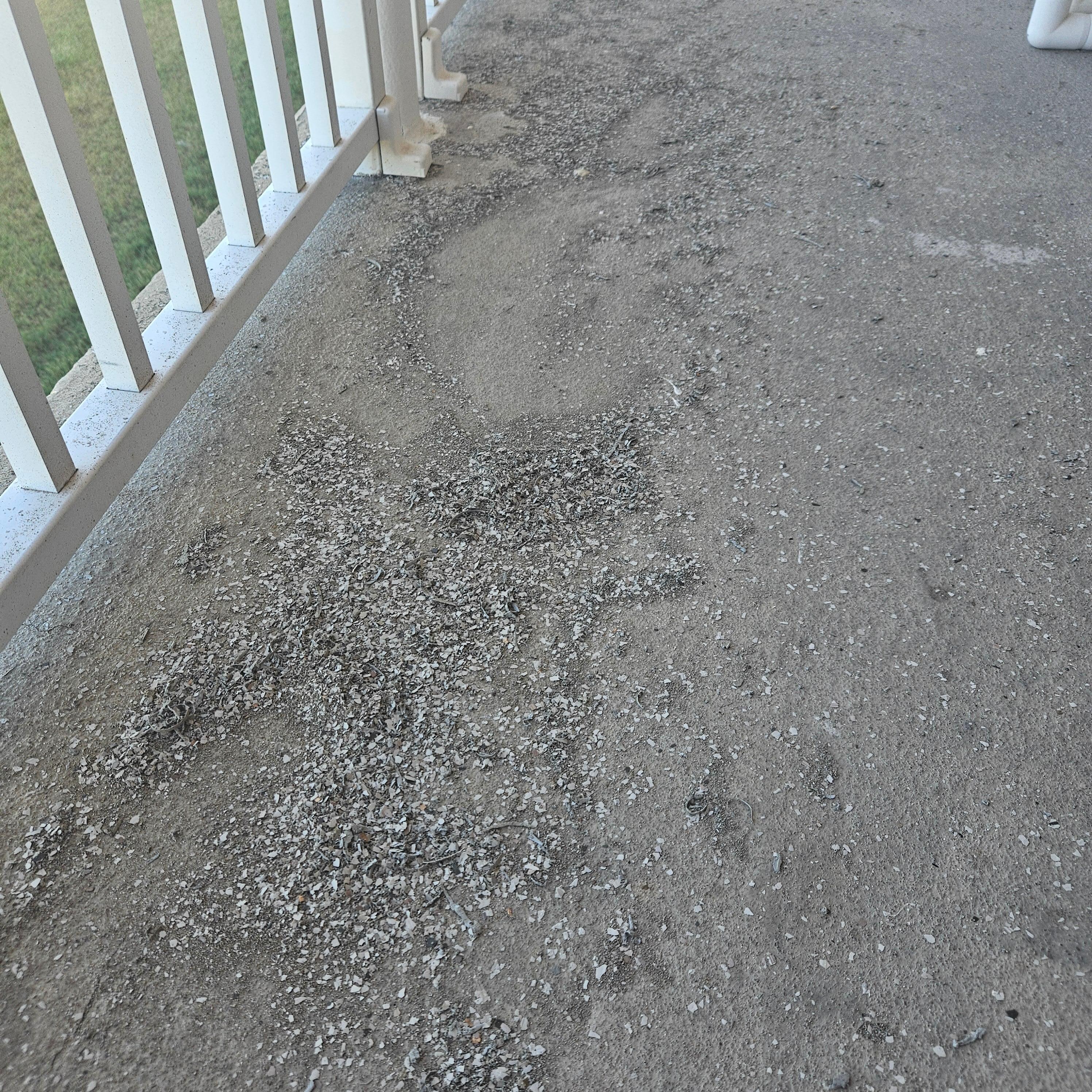 Balcony hadn't been swept in forever it looked like which i swept it so we could walk out without tracking stuff in.