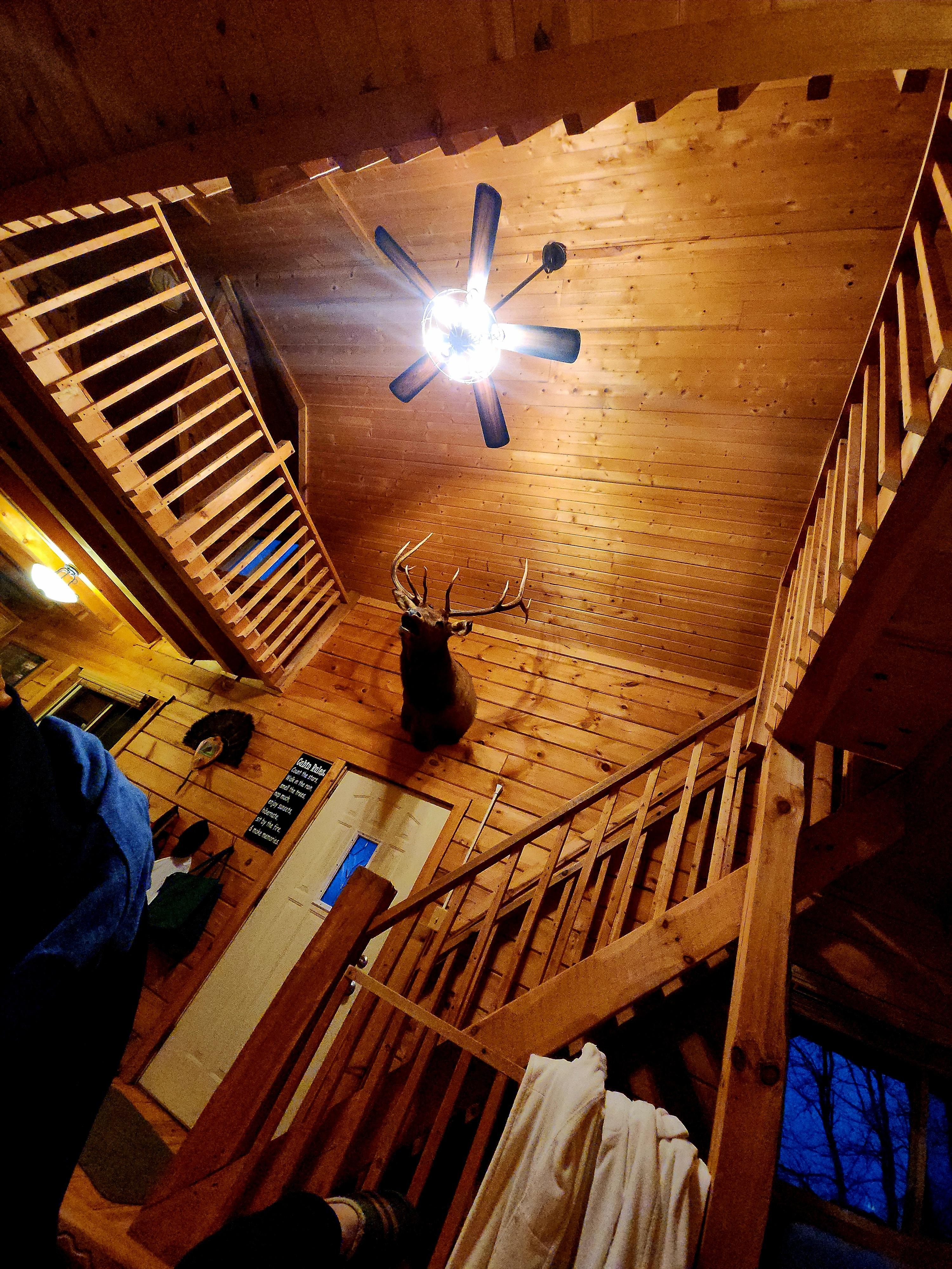 Chillin after 21000 steps on the trails