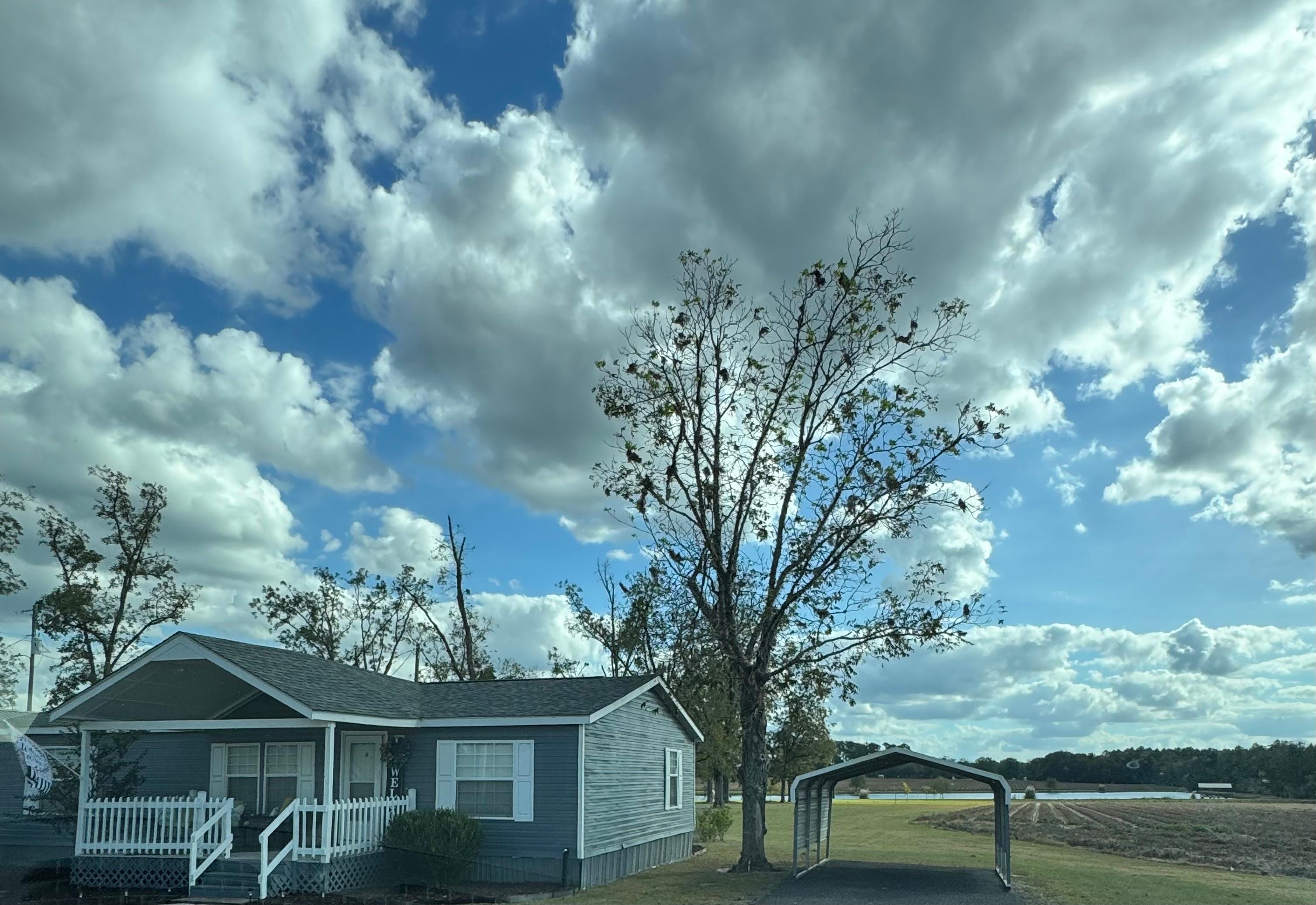 Peaceful and relaxing.