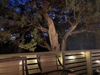 This deck is up in the trees. Awesome!