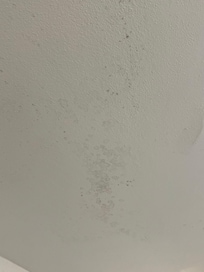 Mold on ceiling