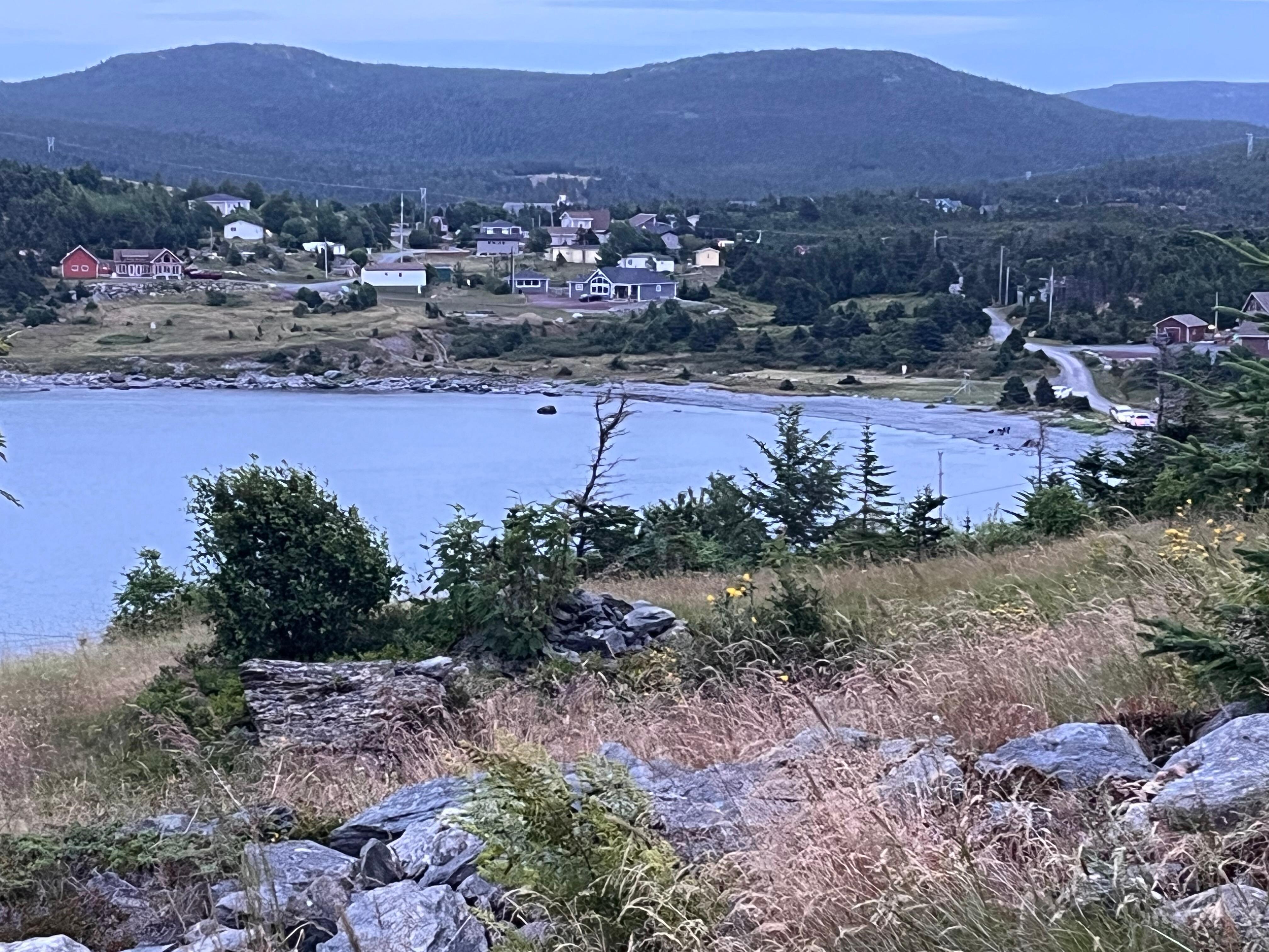 Looking out into the cove from the adjacent meadow 
