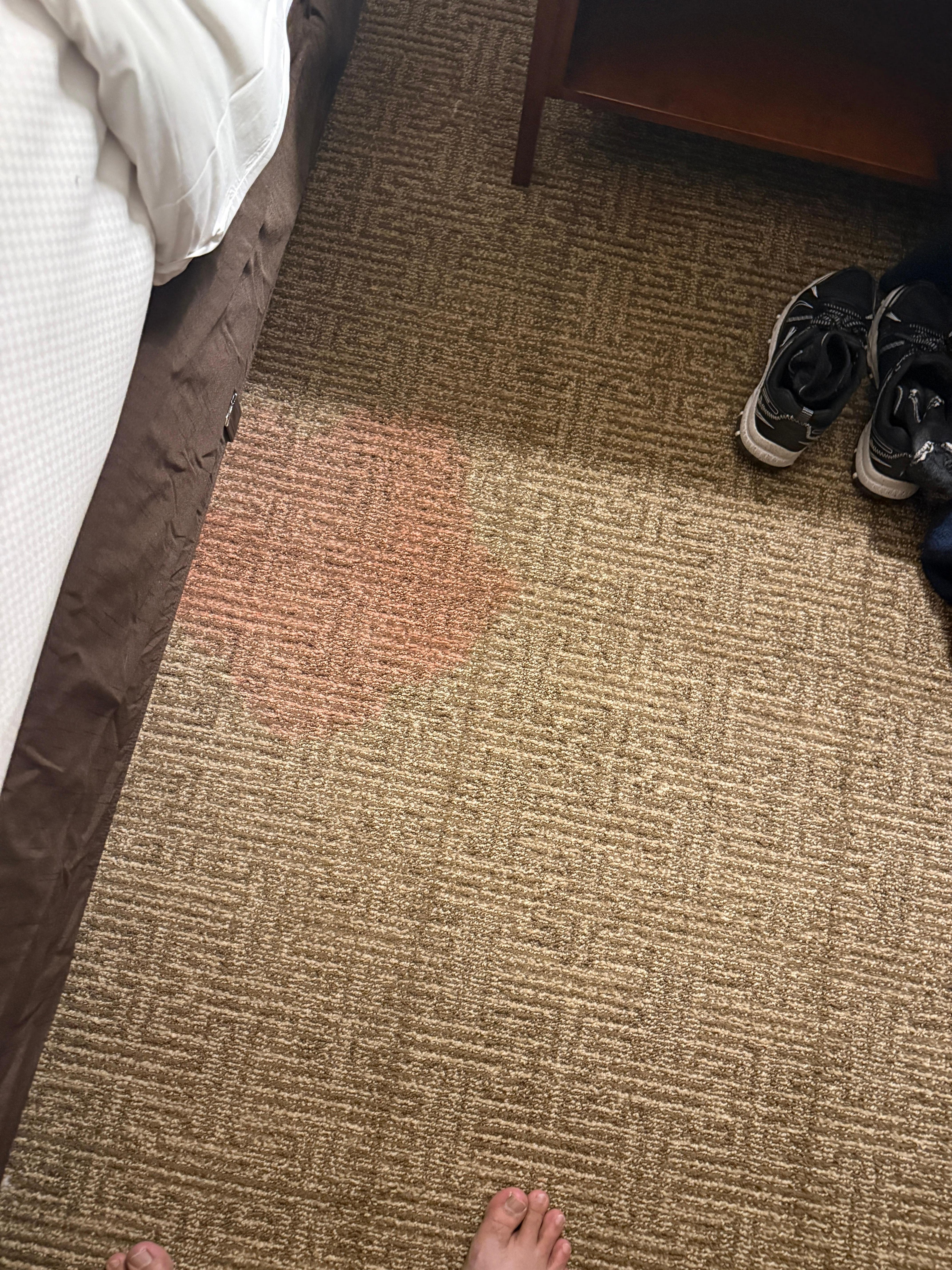 Stain on the carpet as we walked into the the room 
 