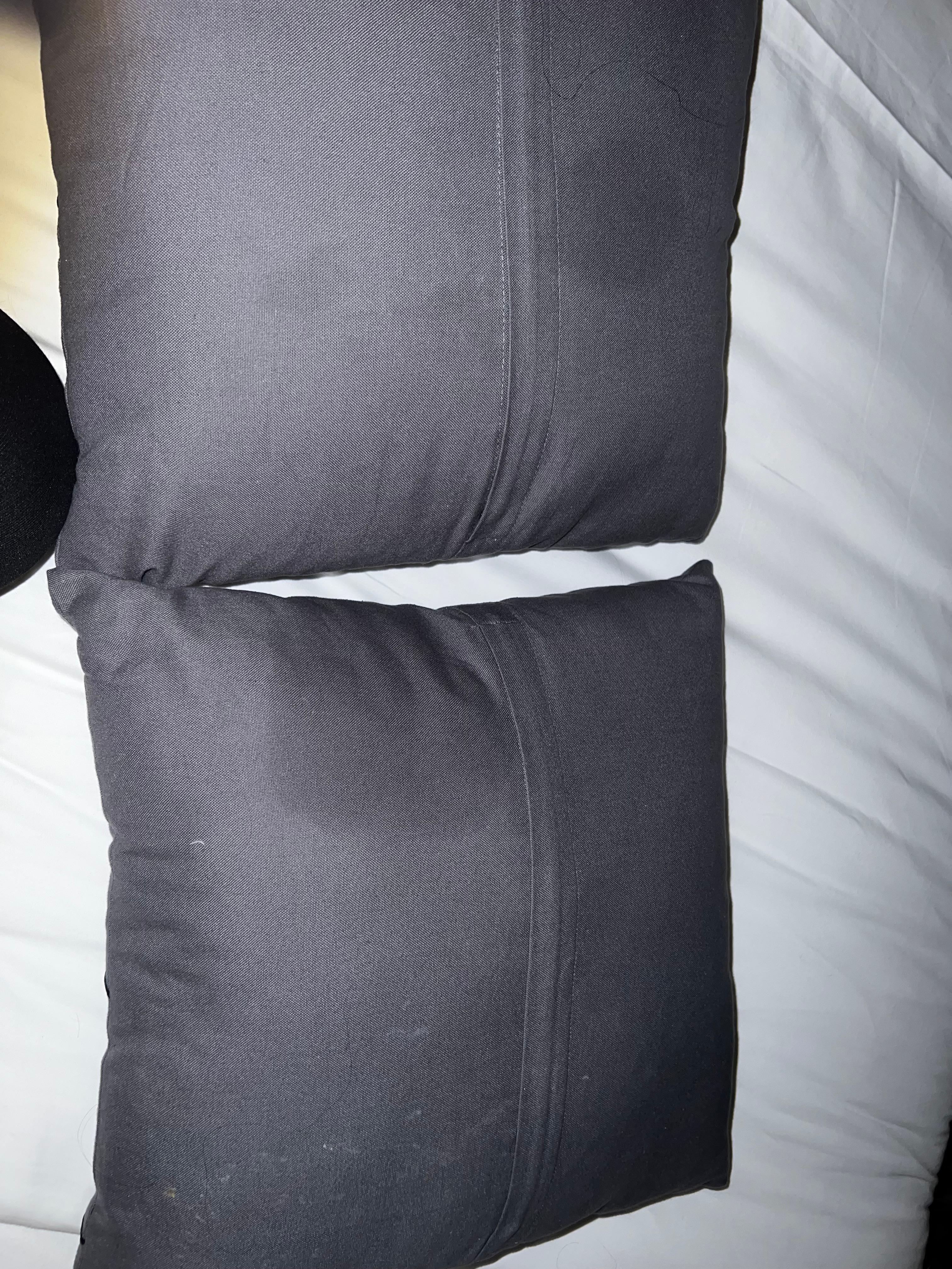 Upon inspection both pillows had grease stains, hair AND an indistinguishable bodily fluid stain.